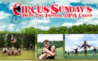 Circus Sunday